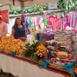 Festival del nispero