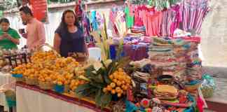 Festival del nispero