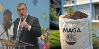 Presidencia: allanamientos en el MAGA surgen de casos "espurios que no tiene ninguna relevancia".