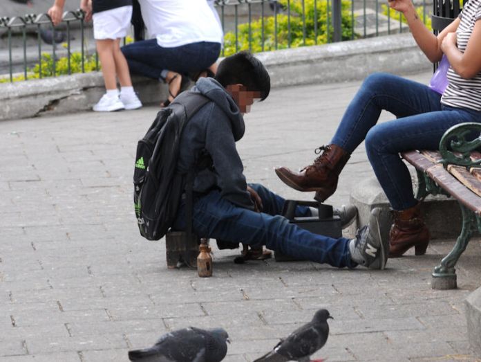 Menor de edad trabajando. Foto La Hora: PGN.