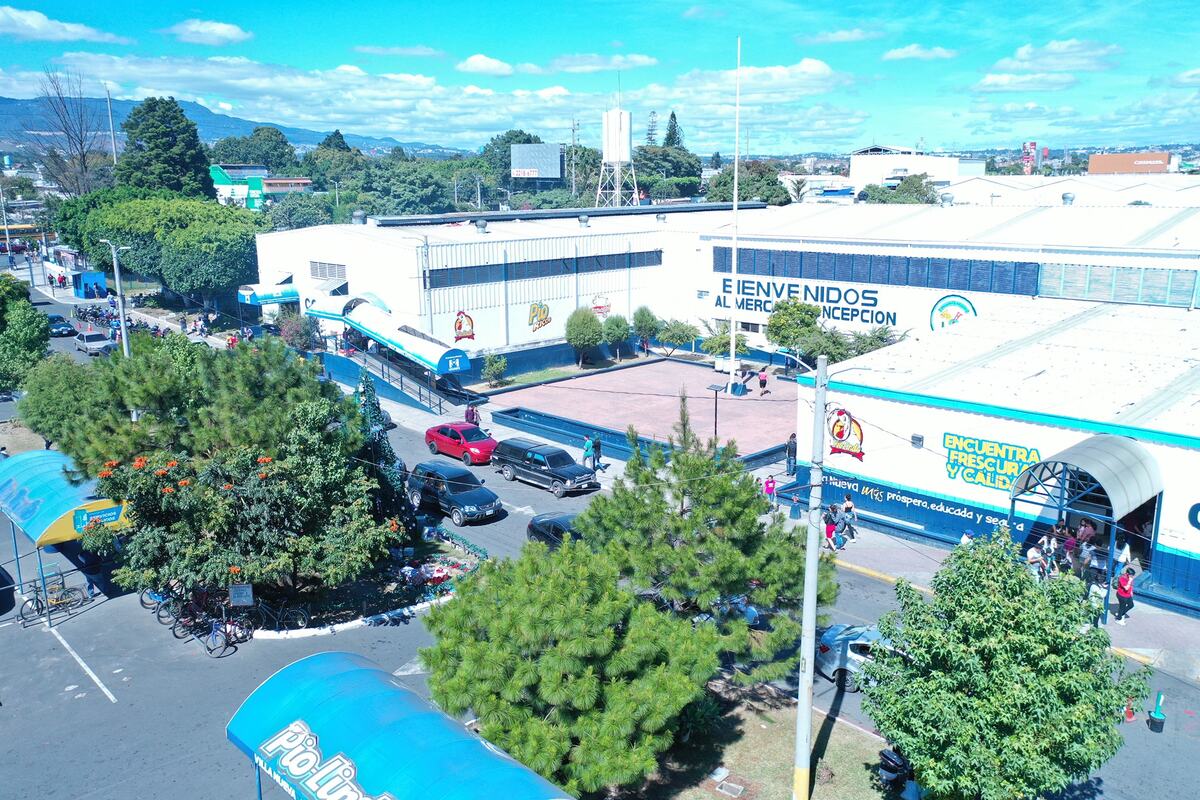 Anuncian cierre total en rotonda del Mercado Concepción de VN por trabajos en paso a desnivel