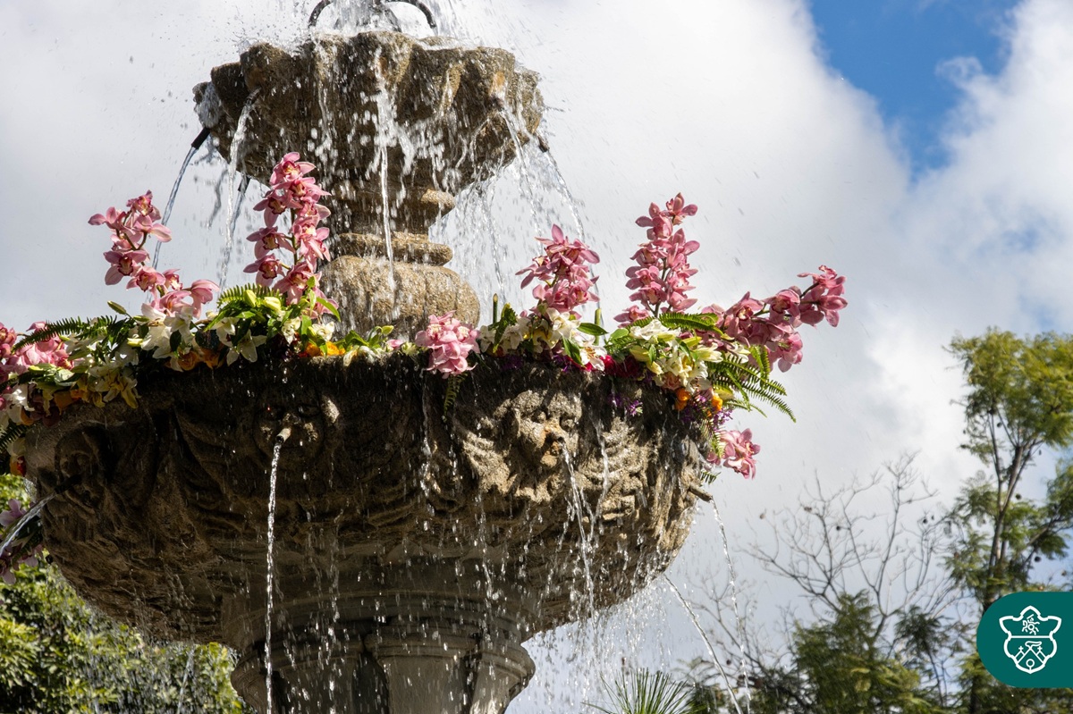Festival de las Flores este domingo 16 de noviembre. Foto La Hora: Municipalidad de Antigua Guatemala