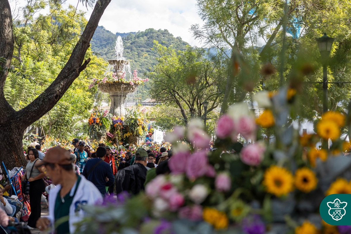 Festival de las Flores este domingo 16 de noviembre. Foto La Hora: Municipalidad de Antigua Guatemala