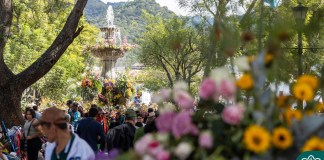 Festival de las Flores este domingo 16 de noviembre. Foto La Hora: Municipalidad de Antigua Guatemala