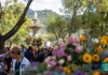Festival de las Flores este domingo 16 de noviembre. Foto La Hora: Municipalidad de Antigua Guatemala