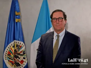 "Hemos identificado miedos, temores, altos costos por postularse", afirma jefe de la Misión Especial de la OEA en GT