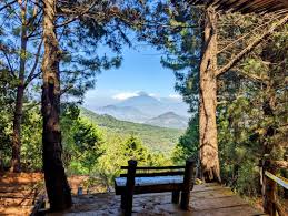 Parque ecológico Green Rush.