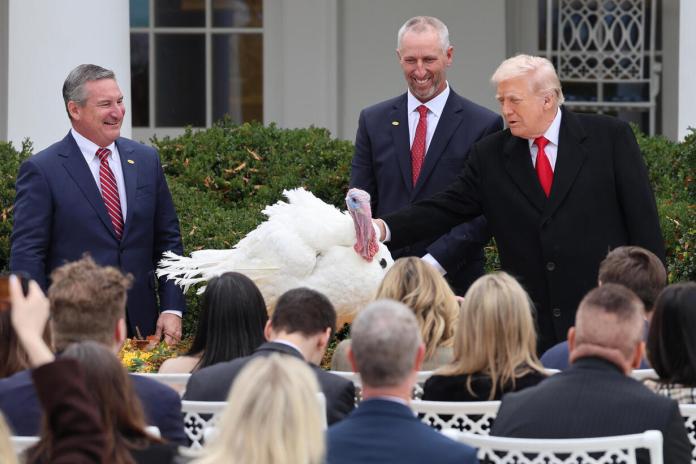 Trump, cumplió este martes con la tradición de indultar a dos pavos que se salvarán de acabar en la cena de Acción de Gracias