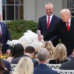 Trump, cumplió este martes con la tradición de indultar a dos pavos que se salvarán de acabar en la cena de Acción de Gracias