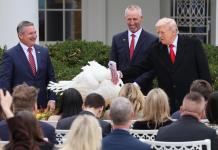 Trump indulta dos pavos por Acción de Gracias y anula los perdones que dio Biden Trump, cumplió este martes con la tradición de indultar a dos pavos que se salvarán de acabar en la cena de Acción de Gracias