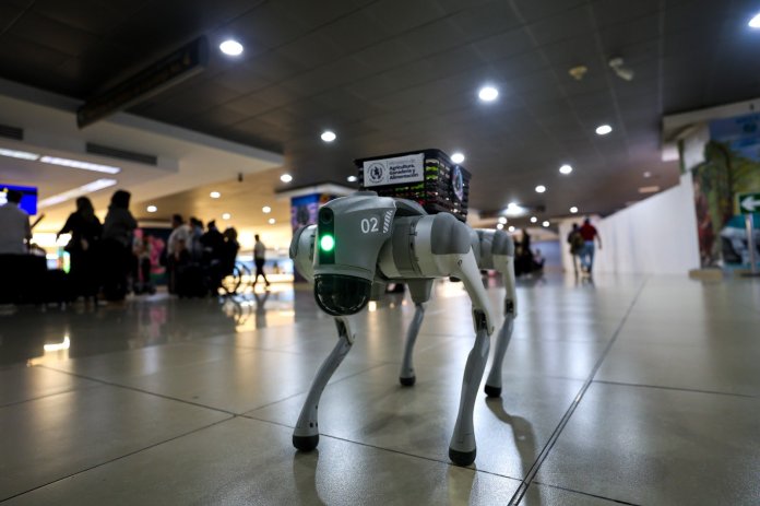 SAICA, el perro robot de sanidad agropecuaria en el Aeropuerto La Aurora. Foto La Hora: Dirección General de Aeronáutica Civil (DGAC) SAICA, el perro robot de sanidad agropecuaria en el Aeropuerto La Aurora. Foto La Hora: Dirección General de Aeronáutica Civil (DGAC)