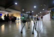 SAICA, el perro robot multilingüe que circula en Aeropuerto La Aurora SAICA, el perro robot de sanidad agropecuaria en el Aeropuerto La Aurora. Foto La Hora: Dirección General de Aeronáutica Civil (DGAC)