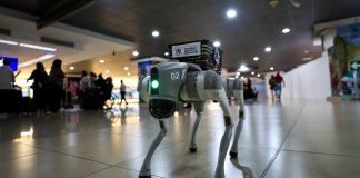 SAICA, el perro robot multilingüe que circula en Aeropuerto La Aurora SAICA, el perro robot de sanidad agropecuaria en el Aeropuerto La Aurora. Foto La Hora: Dirección General de Aeronáutica Civil (DGAC)