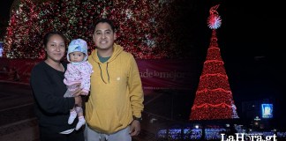El Árbol Gallo un ícono que ilumina la temporada navideña de los guatemaltecos. Foto: La Hora