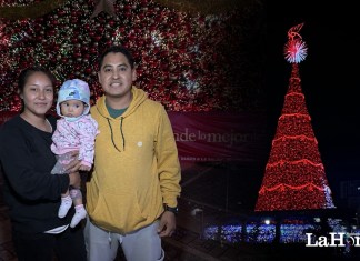El Árbol Gallo un ícono que ilumina la temporada navideña de los guatemaltecos. Foto: La Hora