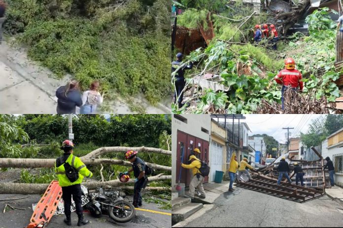 Fuertes vientos reportados en el país dejan diversos casos de árboles caídos.