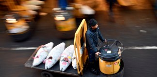 China pescado y marisco