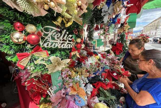 Bazares navideños zona 1