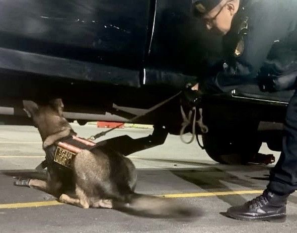 betha Embajada de EE. UU. destaca labor de agente canino K9, Betah. Foto La Hora: Embajada de EE.UU.
