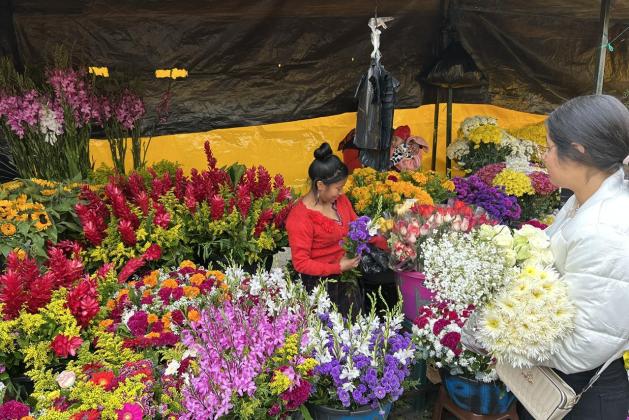 Cementerio General. Foto La Hora: José Orozco.