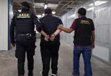 Capturan a presunto responsable del homicidio de médico cirujano del IGSS y Hospitalito de la PNC Captura de Marcelino “N”, de 27 años, señalado de estar implicado en el homicidio de un médico-cirujano.