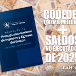 Los Consejos Departamentales de Desarrollo podrían tener más de Q16 mil millones de presupuesto el próximo año. Diseño La Hora: Alejandro Ramírez