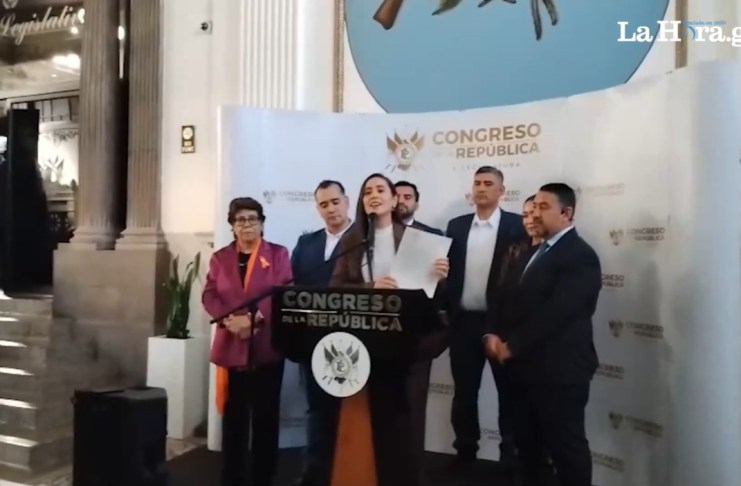 Karina Paz, junto a un grupo de diputados, presentó una iniciativa de ley. Foto: La Hora.