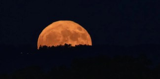 Una superluna se eleva sobre Huntsville, Alabama, sede del Centro de Vuelos Espaciales Marshall de la NASA, el 19 de agosto de 2024 Foto: La Nasa