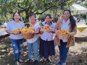 Agenda cultural y sabor local: así se vivirá el XIII Festival del Níspero en San Juan del Obispo