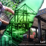 Según el Ministerio de Economía, estos son los 66 tipos de producto que actualmente ya gozan de arancel cero para su exportación a EE.UU. Arte La Hora: Francisco Altán