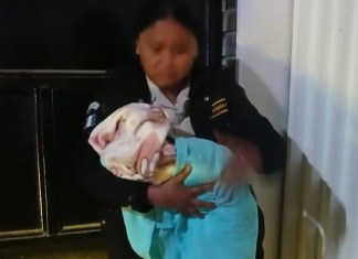 PNC rescata a menor que fue abandonada a las afueras de una agencia bancaria en Sololá Foto: PNC