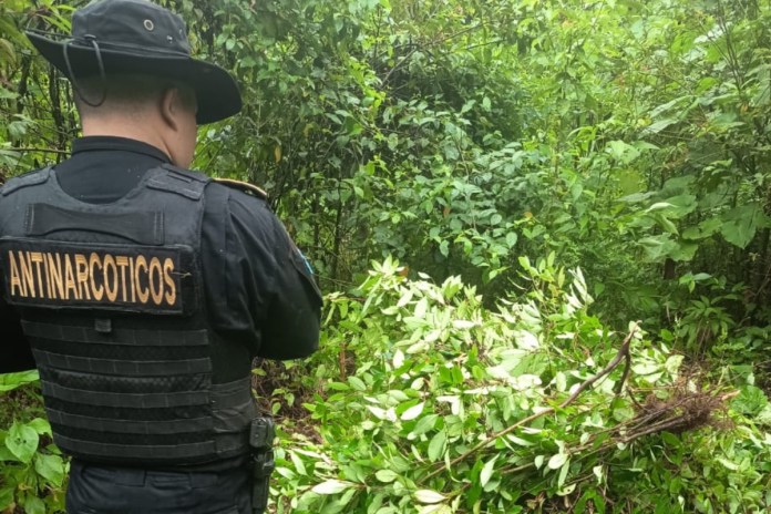 50c65147-3f5b-4be2-ba5b-29fc9d25ceec PNC