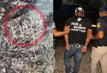 Esta es la multa que podría enfrentar el hombre que dañó el Templo II de Tikal El hombre fue detenido por escribir sobre uno de los muros del Templo II de Tikal. Foto La Hora: PNC