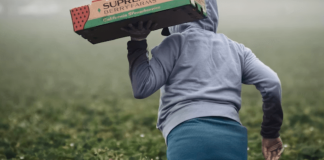 Banguat explica los posibles efectos del impuesto del 1% a las remesas familiares