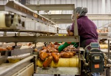 ¿Cuánto cuesta realmente a una empresa en Guatemala crear una plaza con salario mínimo en 2026? Cuánto cuesta realmente contratar a un trabajador con salario mínimo en Guatemala