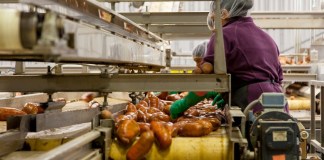 Cuánto cuesta realmente contratar a un trabajador con salario mínimo en Guatemala