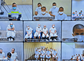 El caso de los pandilleros de la MS-13 de El Salvador condenados a más de mil años por 240 casos