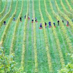 El llamado del Agro para proteger el empleo al momento de fijar el salario mínimo 2026