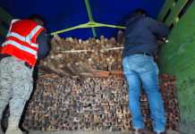 8 personas capturadas por traslado ilegal de madera. Foto La Hora: PNC.