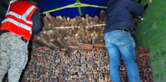 8 personas capturadas por traslado ilegal de madera. Foto La Hora: PNC.