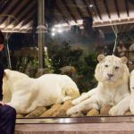 Messi en su visita a un centro de conservación animal tras su visita en la India. Foto La Hora: sayanmondal.official