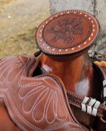 Montadura de caballo. Foto La Hora: Oscar Carrillo.