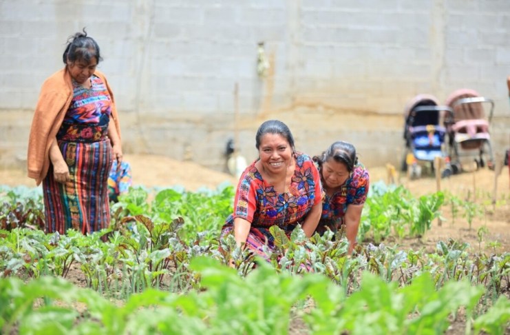 Crédito Tob’anik ha adjudicado más de Q39 millones a 383 beneficiarios desde su apertura.