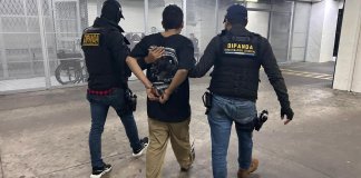 Capturan a alias "Skipy" por falsificación de placas y distintivos para vehículos.