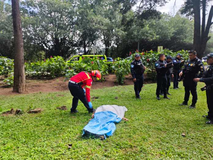 b774d487-a921-4a5f-be07-8a95af29ee81 Zona 10