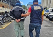 Hombre es capturado en zona 2 por venta de fauna silvestre en redes sociales. Foto: Ministerio Público