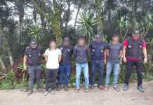 Capturan a tres hermanos por presunto homicidio en Olopa, Chiquimula Reportan la captura de tres hermanos presuntos responsables de homicidio.