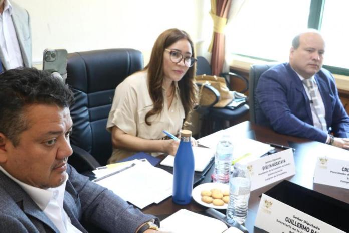 Los integrantes de la comisión de Previsión y Seguridad Social dictaminaron favorablemente la iniciativa de ley para modificar el pago del IUSI. Foto: Congreso de la República