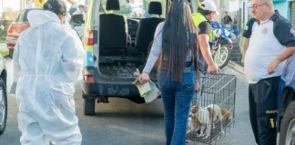 Realizan el rescate y decomiso de nueve perros que permanecían en condiciones inadecuadas.