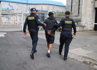 Un hombre con antecedentes por robo es detenido tras asaltar un camión de encomiendas en vísperas de Navidad